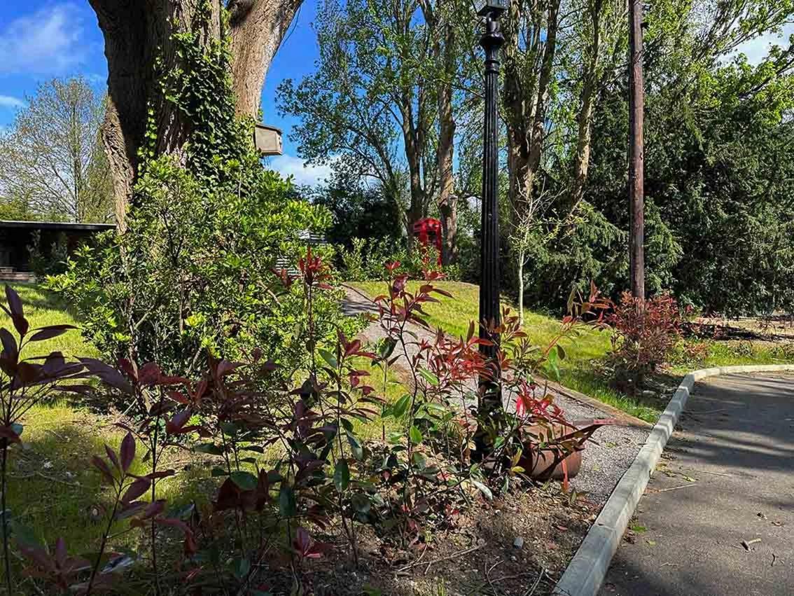 Forest Studio Apt Free Gated Parking On 2 Acres Garden Chislehurst Exterior foto